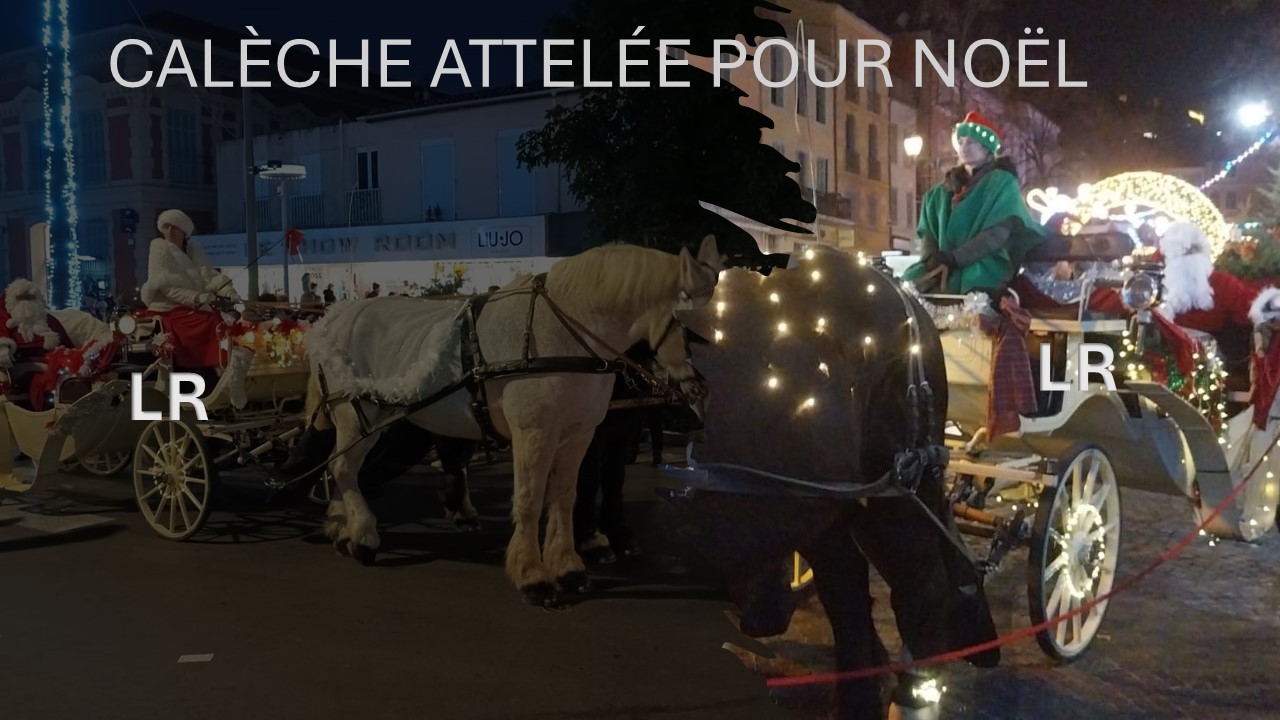 CALECHE ATTELÉE