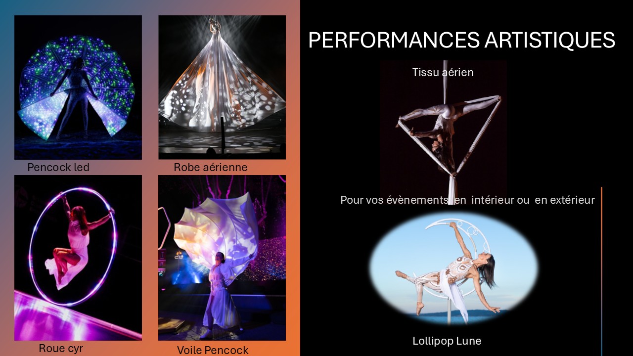 spectacle performance artistique